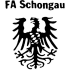 FA Schongau