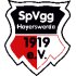 SpVgg Hoyerswerda 1919